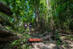 BIB: 
                            <button type="button" onclick="openModal(19394262)" class="btn btn-primary btn-sm float-right btn-popup" data-toggle="modal" data-target=".modal-high-quality">
                        <i class="fas fa-shopping-cart"></i> Add to Cart
                    </button>
                                            <button type="button" onclick="isThisMe(19394262, true)" class="btn btn-success btn-sm float-right btn-popup btn-isme hidden" data-toggle="tooltip" data-placement="bottom" title="นี่คือรูปของคุณใช่ไหม คลิกที่นี่เพื่อเอาเข้าอัลบั้ม">
                        <i class="fas fa-plus"></i> Add to album
                    </button>
                    <button type="button" onclick="isThisMe(19394262, false)" class="btn btn-warning btn-sm float-right btn-popup btn-isnotme hidden">
                        <i class="fas fa-ban"></i> Remove from album
                    </button>